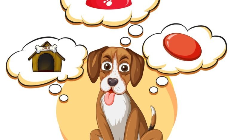 The Best Victor Dog Food for Puppies Where to Buy, Ingredients, Nutritional Benefits, and reviews