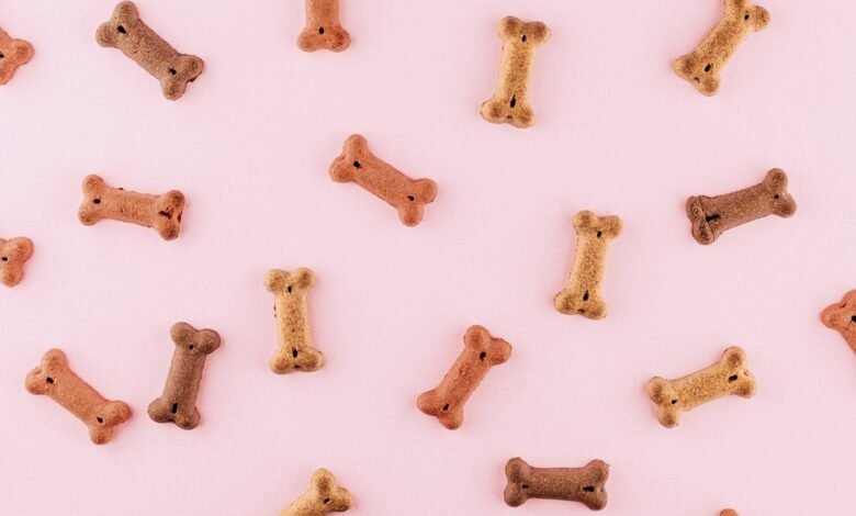 multicolored dog bone toys